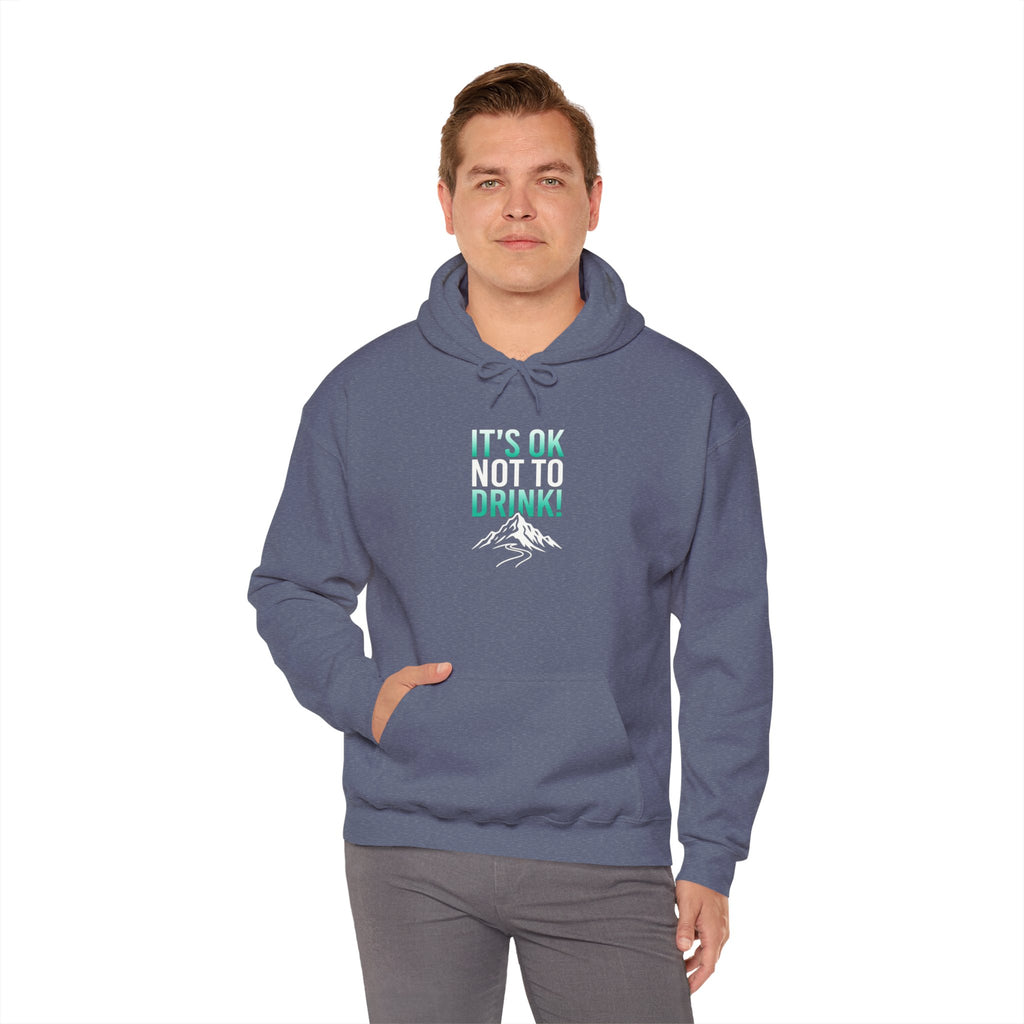 It’s OK Not to Drink Hoodie | Sober Message Mountain Graphic