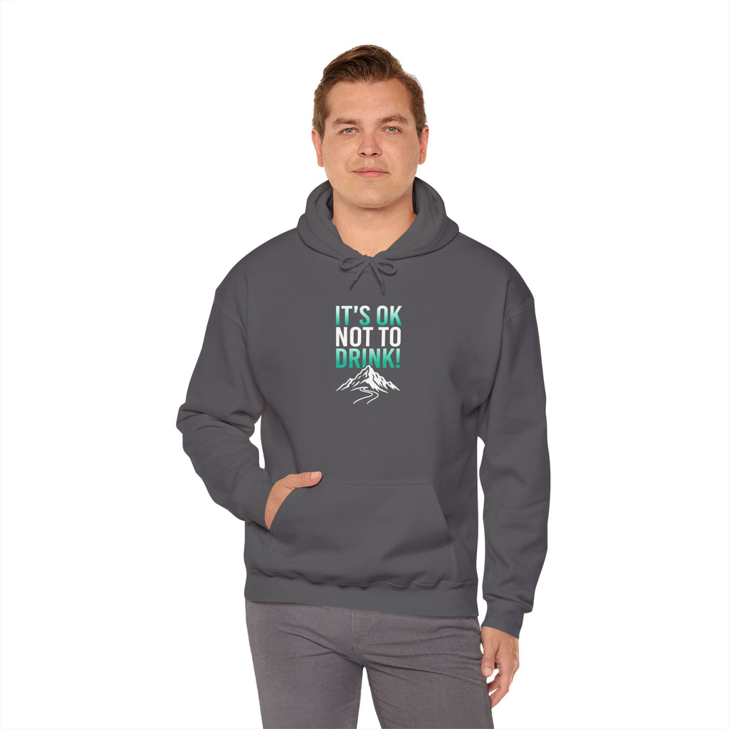 It’s OK Not to Drink Hoodie | Sober Message Mountain Graphic