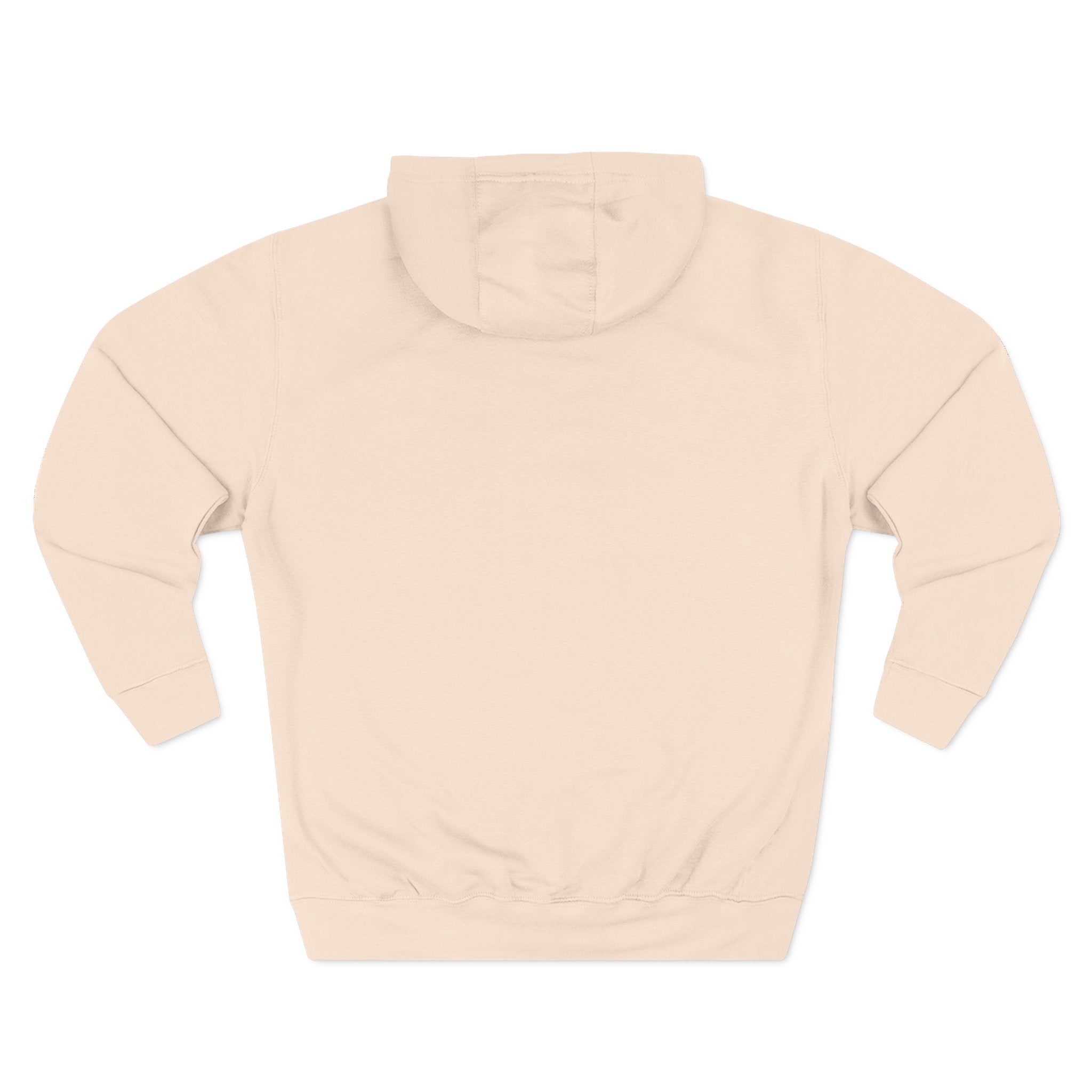 Clean & Sober hoodie | Recovery life illustration, vintage emblem